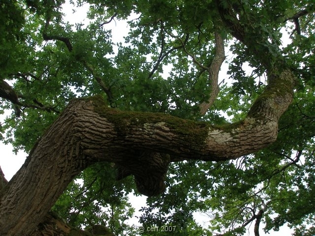 2007 05 Séjour en Brenne 033